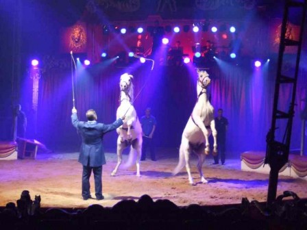 Spectacle_chevaux.JPG